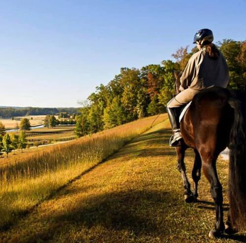 A person on horseback rides along a grassy path, overlooking a scenic landscape with trees and a distant view.