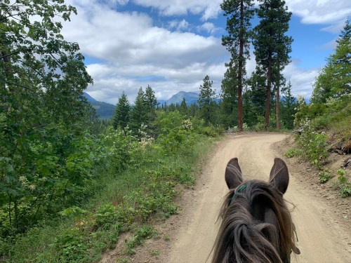 View from horseback on a dirt trail surrounded by trees and mountains under a cloudy sky.