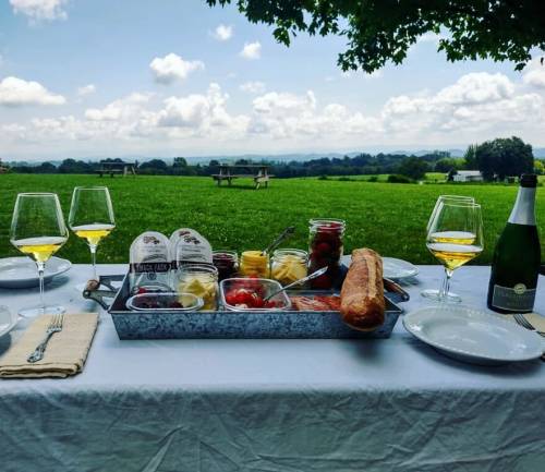 A picnic table set with wine glasses, a variety of cheeses, fruits, and a baguette, against a scenic green landscape.