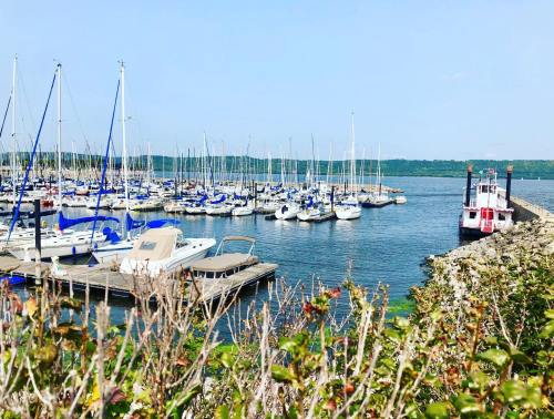 A marina filled with sailboats and yachts, with a calm water view and greenery in the foreground.