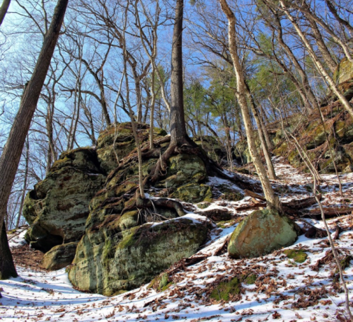 A rocky hillside with bare trees and patches of snow, under a clear blue sky.