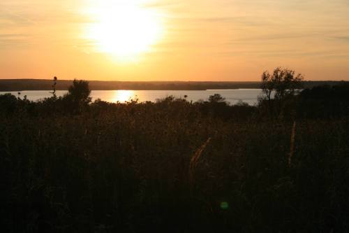 Sunset over a tranquil lake, with silhouettes of tall grass and trees in the foreground.
