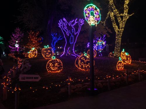 Colorful Halloween lights illuminate a park scene with glowing pumpkins and spooky trees at night.