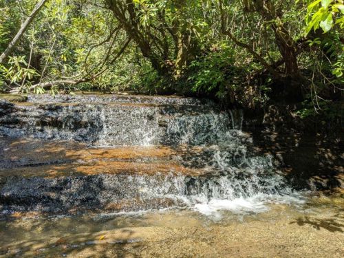 A serene waterfall cascades over rocks, surrounded by lush greenery and sunlight filtering through the trees.