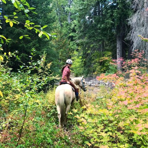 A person on a horse rides through a lush, green forest with colorful autumn foliage.