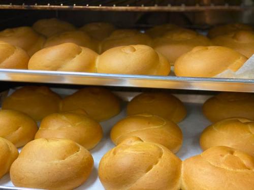 Freshly baked golden rolls cooling on trays in an oven.