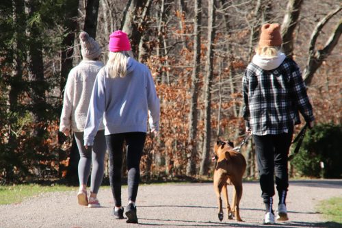 Four people walking on a path in a wooded area, with one person walking a dog.