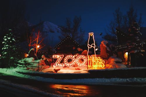 Brightly lit "Zoo Lights" sign in a snowy landscape at night, surrounded by trees and festive decorations.