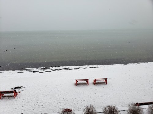 A snowy beach scene with red benches overlooking a calm, gray lake under a cloudy sky. Snowflakes are falling.