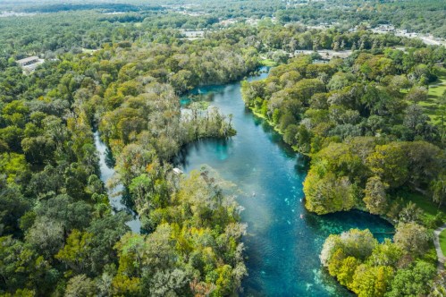 Aerial view of a winding river surrounded by lush greenery and trees, with hints of autumn colors.