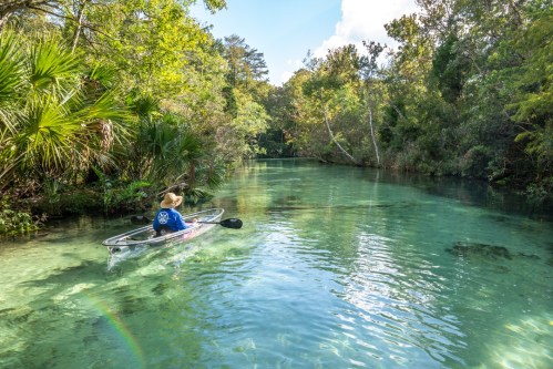 A person in a kayak paddles through a clear, tranquil river surrounded by lush greenery and trees.