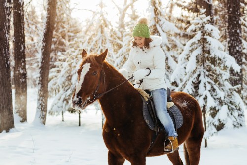 A person in a white coat and green hat rides a brown horse through a snowy forest. Sunlight filters through the trees.