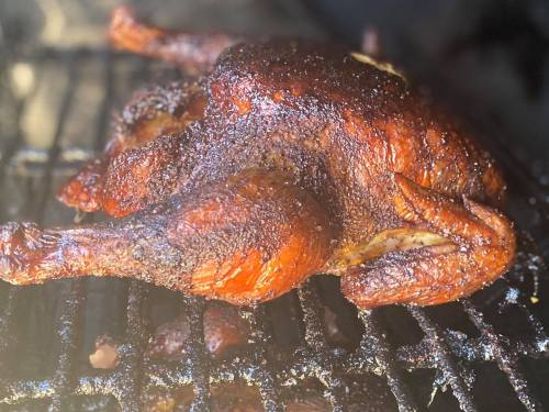 A smoked whole chicken on a grill, showcasing a dark, crispy skin and juicy appearance.