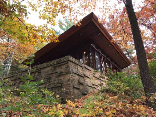 A modern building with a wooden roof, surrounded by colorful autumn foliage and stone landscaping.