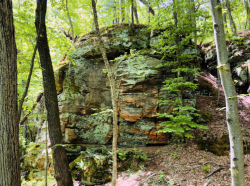 A rocky outcrop surrounded by lush green trees in a forested area.