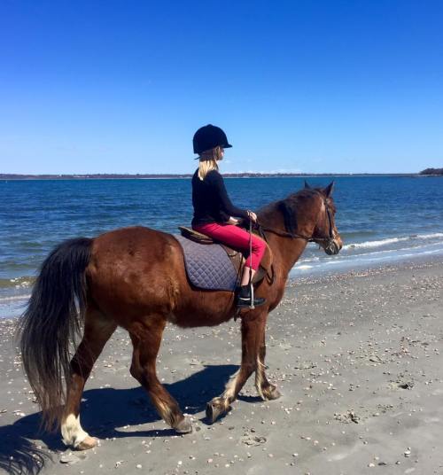 A child riding a brown horse along a sandy beach with a clear blue sky and ocean in the background.