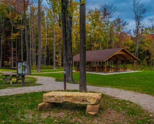 A picnic shelter surrounded by trees in a park, with a stone bench and a trail leading through the vibrant autumn foliage.