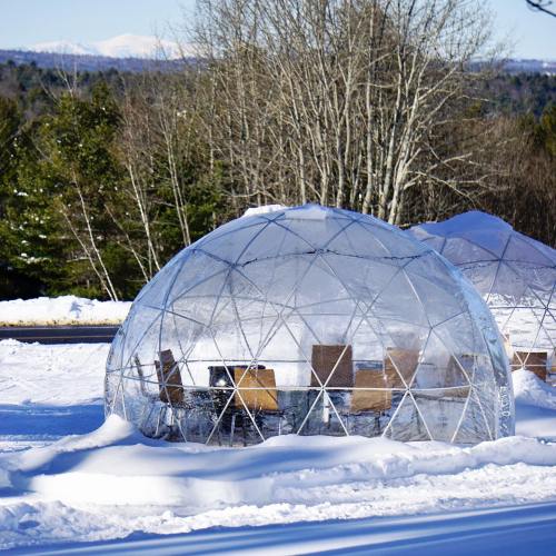 Two transparent geodesic domes in a snowy landscape, surrounded by trees and mountains in the background.