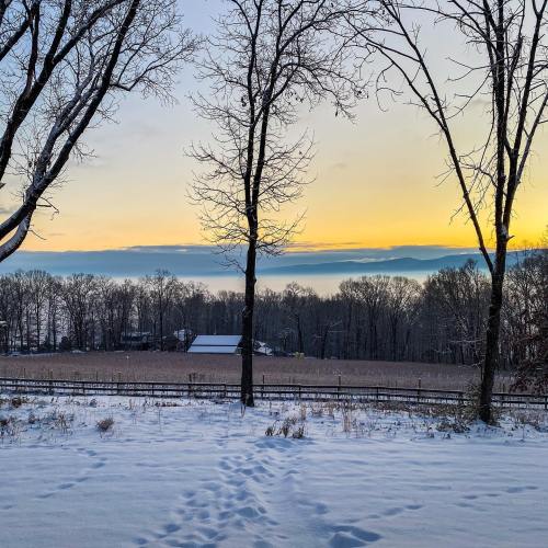 A serene winter landscape with snow-covered ground, bare trees, and a colorful sunrise over distant hills.