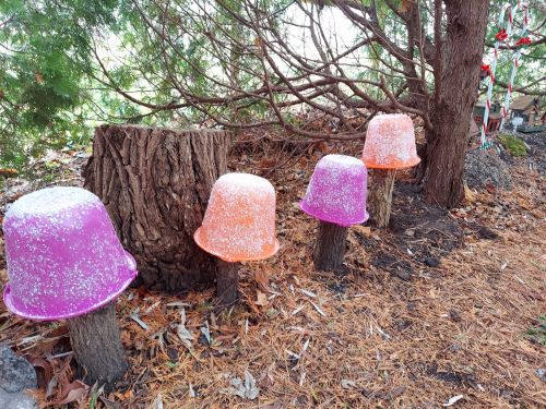 Colorful plastic buckets in pink and orange sit on tree stumps, surrounded by fallen leaves and a dusting of snow.