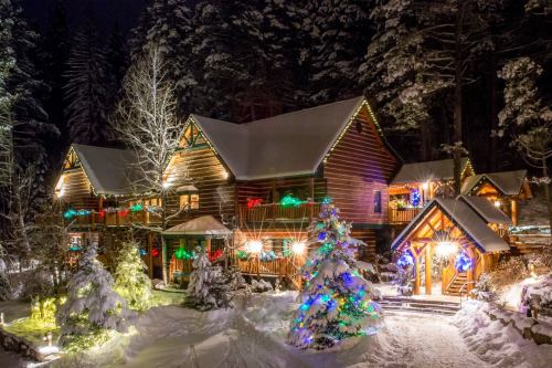 A cozy cabin decorated with colorful Christmas lights, surrounded by snow-covered trees at night.