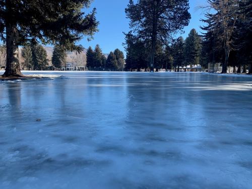 A frozen lake surrounded by trees, with a clear blue sky above and a hint of a park in the background.