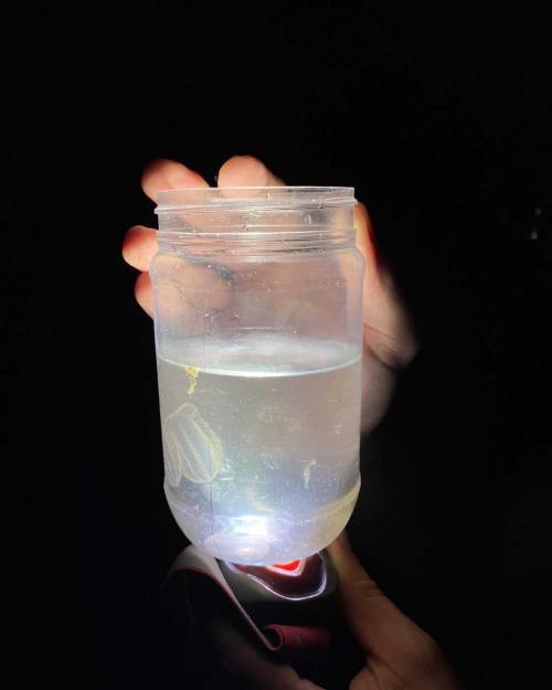 A hand holding a jar of water with a glowing light underneath, illuminating the contents inside.
