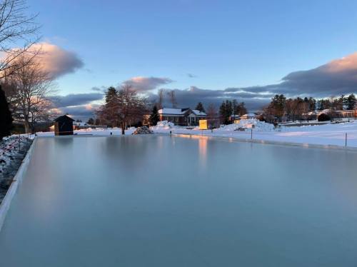 A serene winter scene featuring a frozen pond surrounded by snow-covered trees and a distant house under a blue sky.