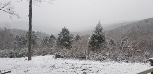 A snowy landscape with trees and mountains in the background, creating a serene winter scene.