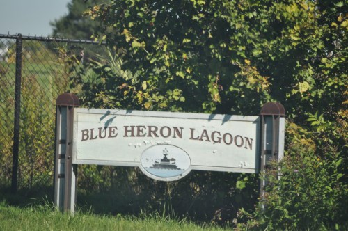 Sign for "Blue Heron Lagoon" surrounded by greenery and a fence.