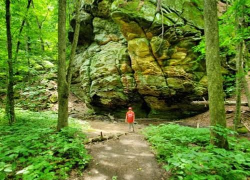 A person stands on a path in a lush green forest, with a large rock formation and trees surrounding them.