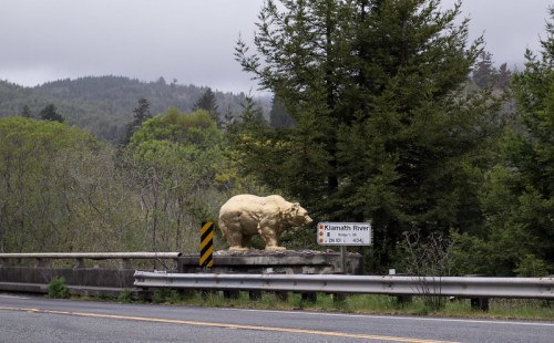 A large bear statue beside a road, with a sign for Klamath River and lush greenery in the background.