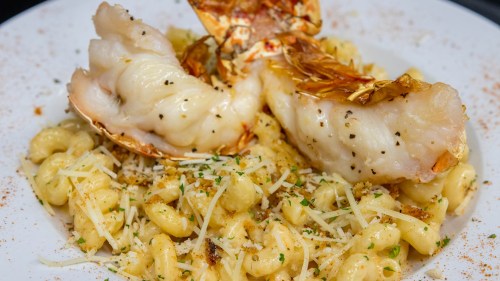 A plate of creamy pasta topped with lobster tail, sprinkled with cheese and herbs.