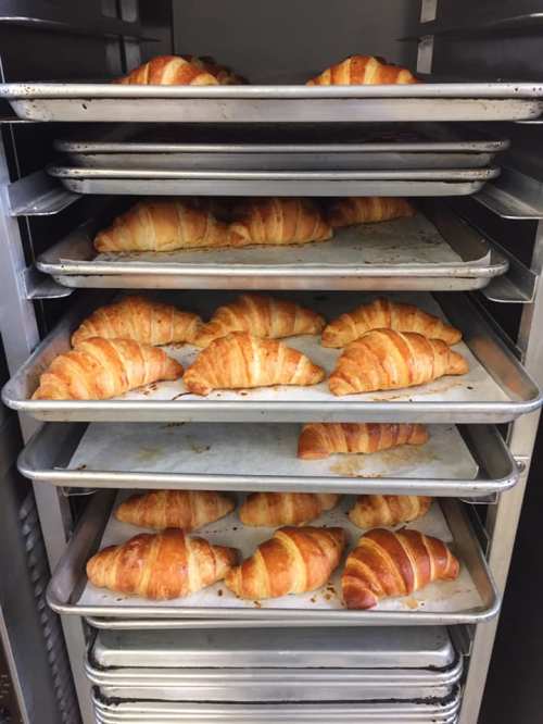 Freshly baked croissants arranged on multiple trays in an oven.