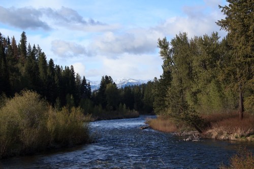 A serene river flows through a forested landscape, with mountains and clouds in the background.