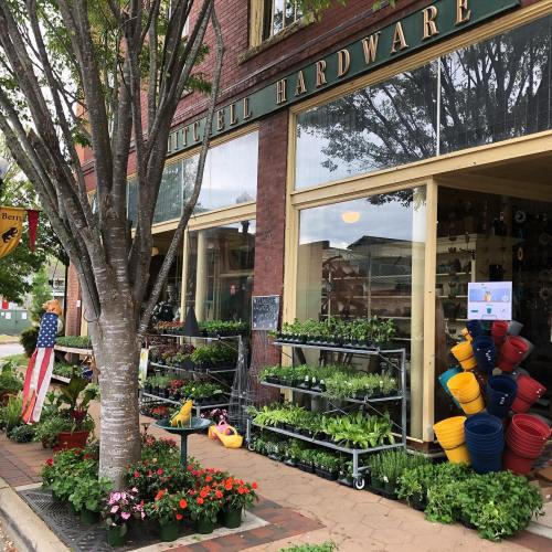 A charming hardware store with flower pots, plants, and colorful containers outside, alongside a tree and American flag.