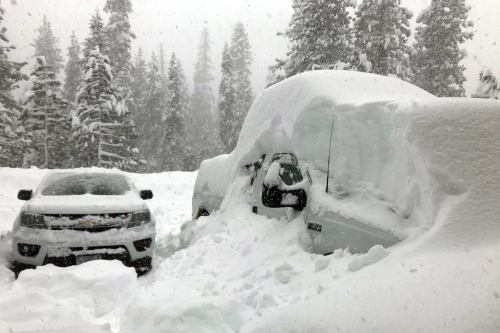 Two cars buried in deep snow during a heavy snowstorm, surrounded by tall evergreen trees. Visibility is low.