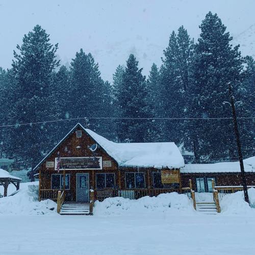 A cozy wooden cabin surrounded by tall pine trees, blanketed in snow during a heavy snowfall.