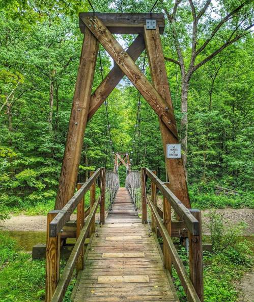 A wooden suspension bridge surrounded by lush green trees, leading into a serene forest.