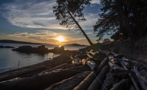 Sunset over a calm bay, with logs on the shore and trees silhouetted against a colorful sky.