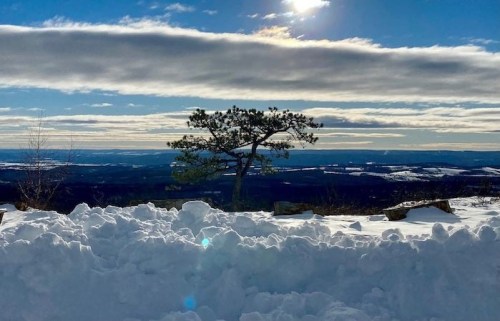 A lone tree stands on a snowy landscape, with a bright sun and blue sky in the background.