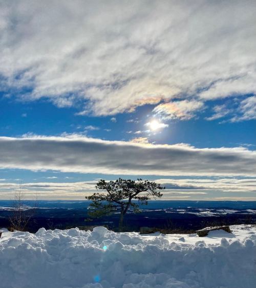 A snowy landscape with a lone tree against a bright sky, featuring clouds and the sun peeking through.