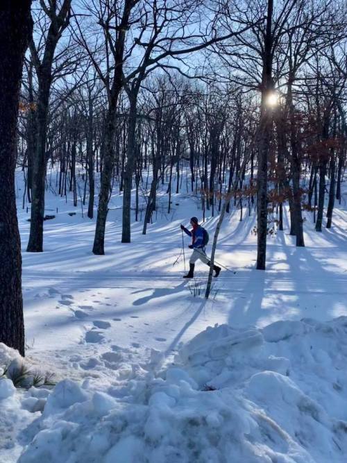 A person snowshoeing through a snowy forest, with tall trees and sunlight filtering through the branches.