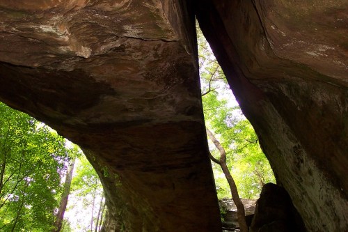 A view of a rocky overhang with a gap, surrounded by lush green trees and natural light filtering through.