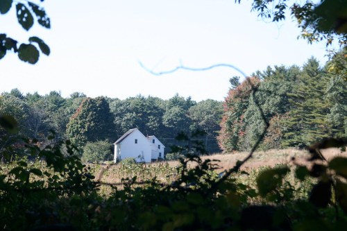 A white house nestled among trees in a rural landscape, with a clear blue sky above.