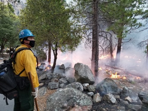A firefighter in protective gear stands near a smoky area with flames and trees, ready to combat the wildfire.