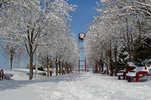 A snowy park pathway lined with trees, benches, and a clock tower under a clear blue sky.
