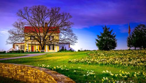 A large house with a red roof surrounded by blooming flowers and a tree, set against a colorful sky.