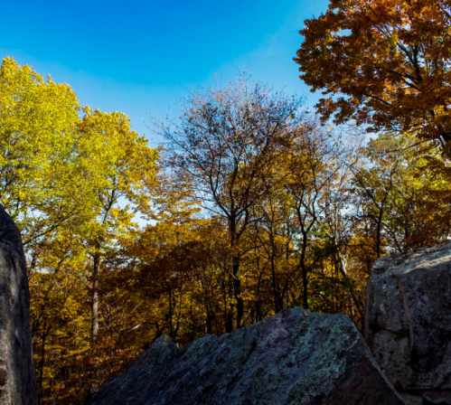A scenic view of colorful autumn trees and rocky formations under a clear blue sky.