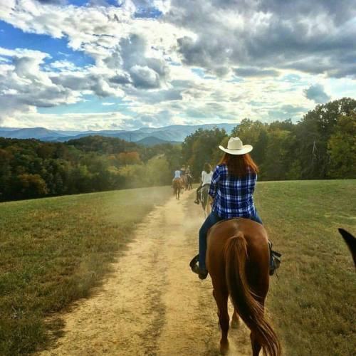 A group of horseback riders on a dirt path, surrounded by trees and mountains under a cloudy sky.
